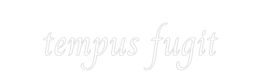 Custom Neon: 
tempus fugit