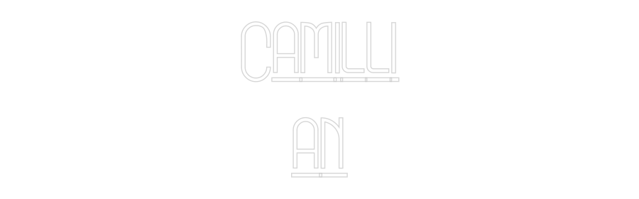 Custom Neon: Camilli
an