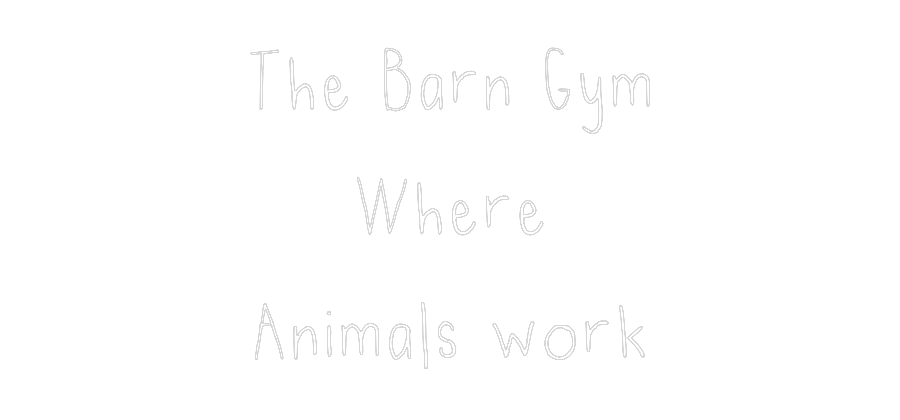 Custom Neon Text - The Barn Gym
...