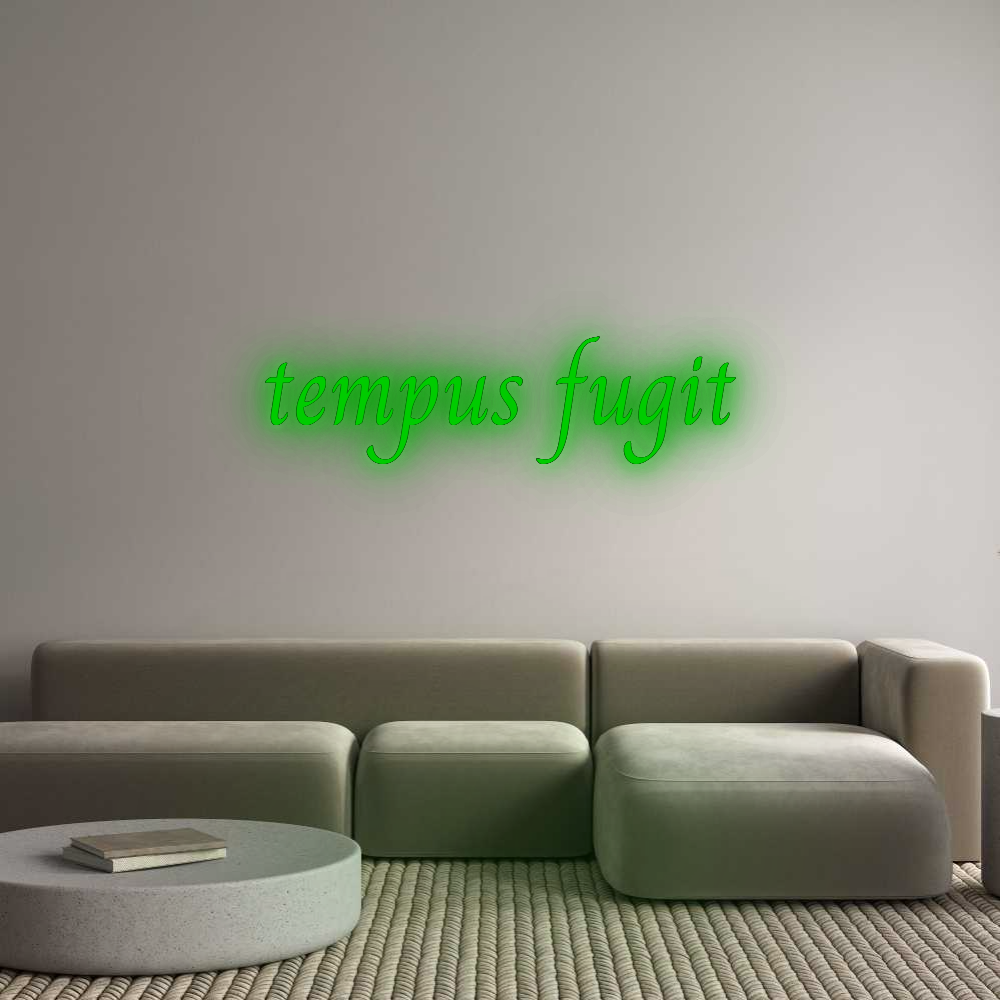 Custom Neon: tempus fugit