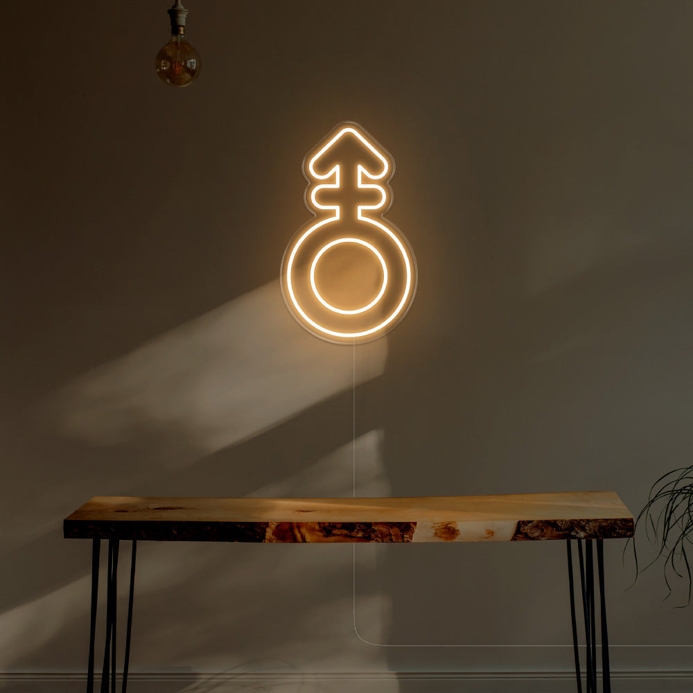 Androgyne LED Neon Sign