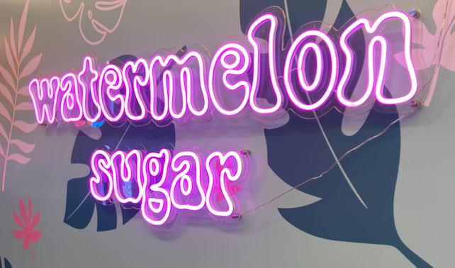 Watermelon Sugar LED neon sign!